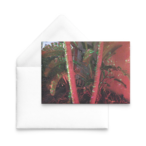 Happy holidays from florida-greeting card-tropical foliage lit by red and green holiday lights by nate dewaele at barneydew