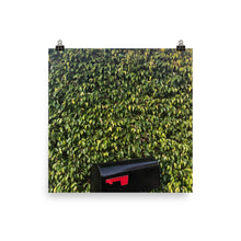 Load image into Gallery viewer, A print of a Contemporary photograph of a black mailbox with red flag against a ficus hedge in Florida taken by Nate DeWaele 3-6-2020 