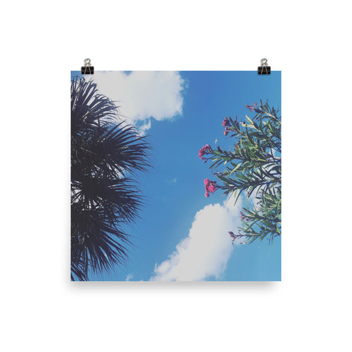 A printed photograph of the sky flanked by a sabal palm and oleander with pink flowers taken by Nate DeWaele for barneydew 1000x1000