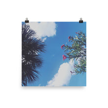 Load image into Gallery viewer, A printed photograph of the sky flanked by a sabal palm and oleander with pink flowers taken by Nate DeWaele for barneydew