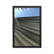 Load image into Gallery viewer, Bismarckia Frond - Framed photo paper poster