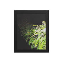 Load image into Gallery viewer, Resurrection Fern On Live Oak - Photograph by Nate DeWaele